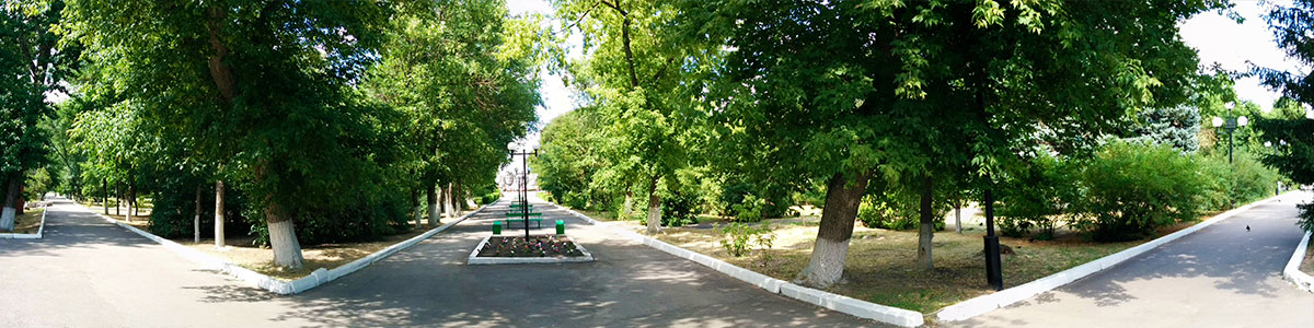 Парк имени Куйбышева — любимое место для отдыха и прогулок горожан и гостей города